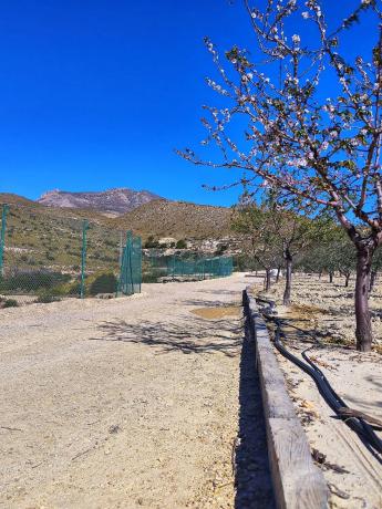 Terreno en Paraje Ballestera