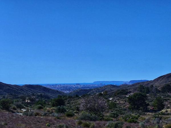 Terreno en Paraje Ballestera