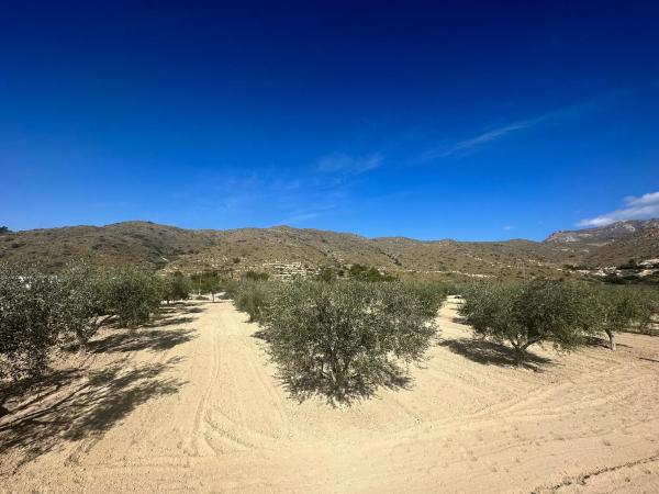 Terreno en Paraje Ballestera