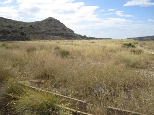 Terreno en Pedanías Oeste