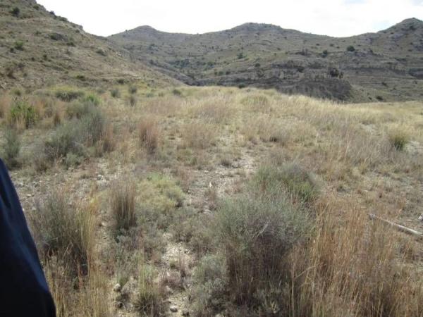 Terreno en Pedanías Oeste