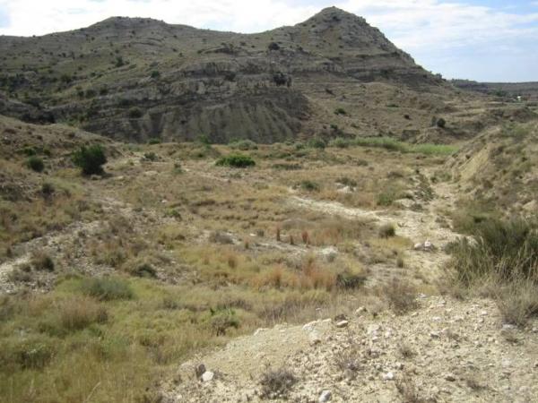 Terreno en Pedanías Oeste