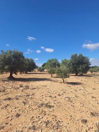 Terreno en Els Cabesols, 156