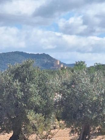 Terreno en Els Cabesols, 156