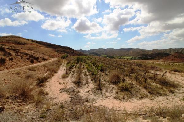 Terreno en Monforte del Cid