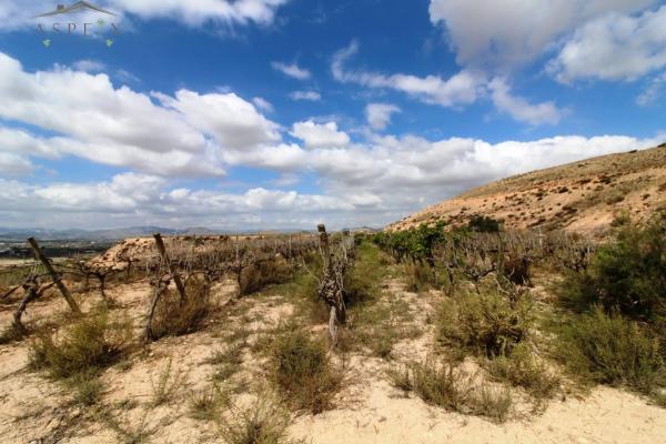 Terreno en Monforte del Cid