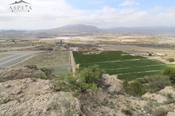 Terreno en Monforte del Cid