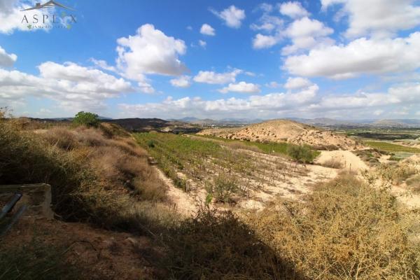 Terreno en Monforte del Cid