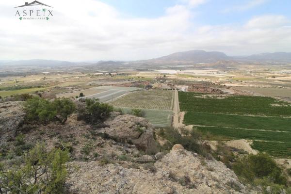 Terreno en Monforte del Cid
