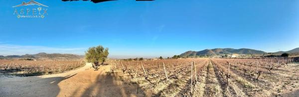 Terreno en La Romana