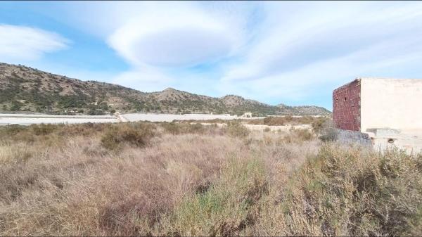 Terreno en Monforte del Cid