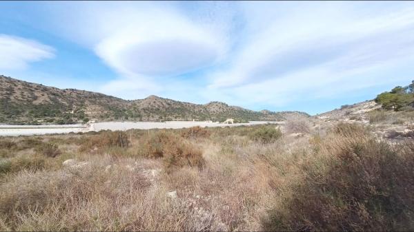 Terreno en Monforte del Cid