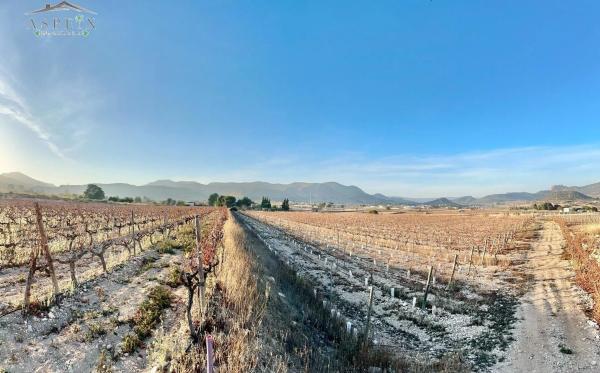 Terreno en La Romana