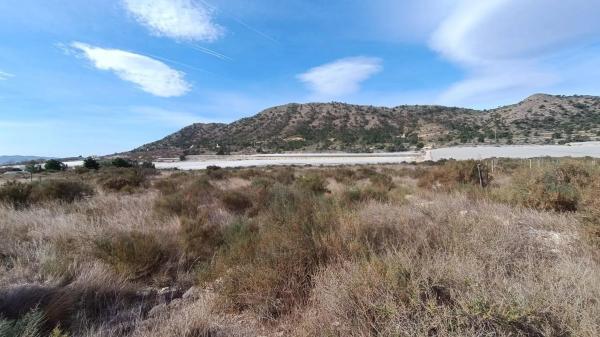 Terreno en Monforte del Cid