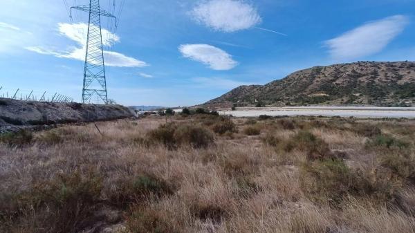 Terreno en Monforte del Cid