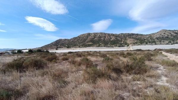 Terreno en Monforte del Cid