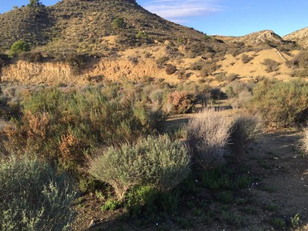 Terreno en Pedanías Oeste