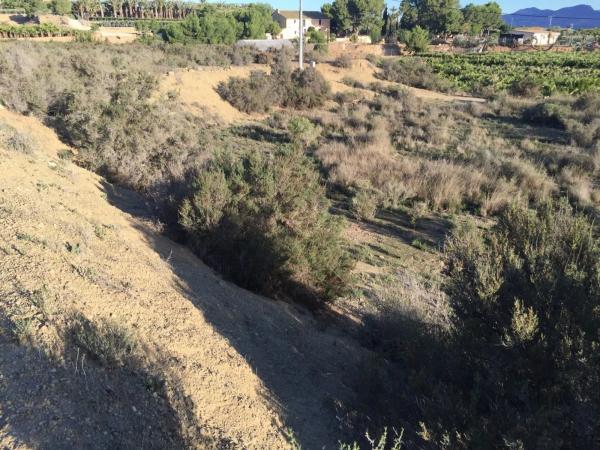 Terreno en Pedanías Oeste