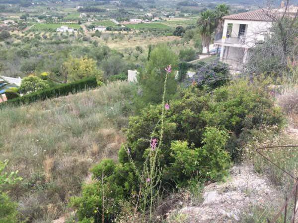 Terreno en Urbanización la Almazara