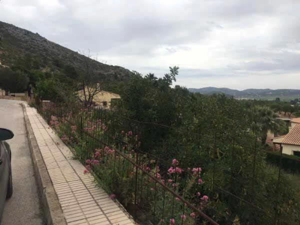 Terreno en Urbanización la Almazara