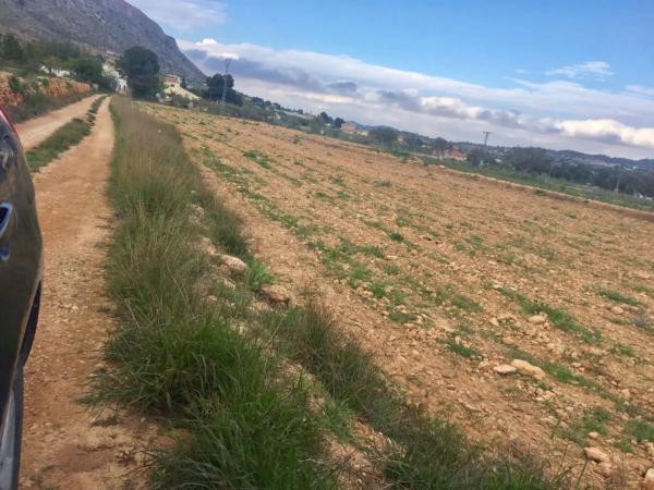 Terreno en Hondón de las Nieves