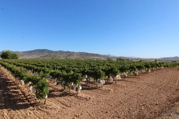 Terreno en La Romana