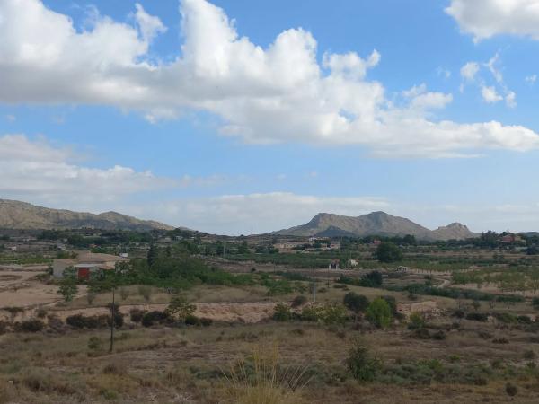 Terreno en camino de la Pedrera s/n Sn