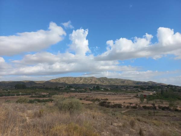 Terreno en camino de la Pedrera s/n Sn