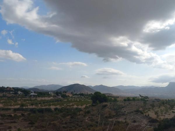 Terreno en camino de la Pedrera s/n Sn