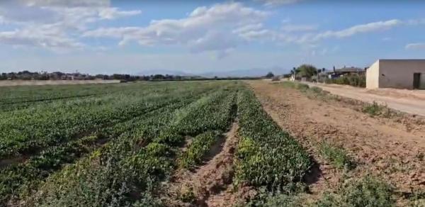 Terreno en Partida Valverde Bajo, 106