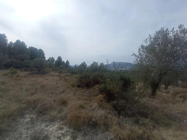 Terreno en Cv-785 s/n