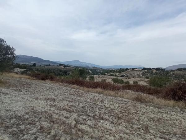 Terreno en Cv-785 s/n