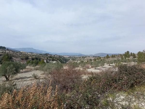 Terreno en Cv-785 s/n