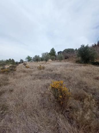 Terreno en Cv-785 s/n