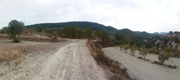 Terreno en Cv-785 s/n