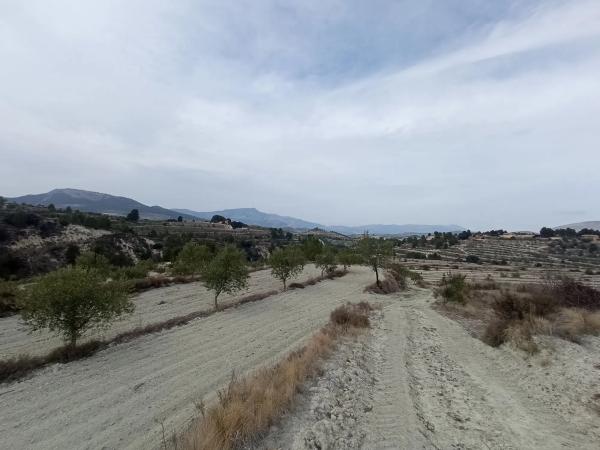 Terreno en Cv-785 s/n