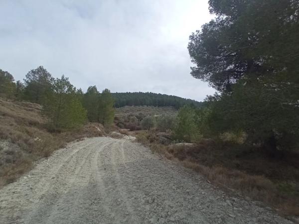 Terreno en Cv-785 s/n