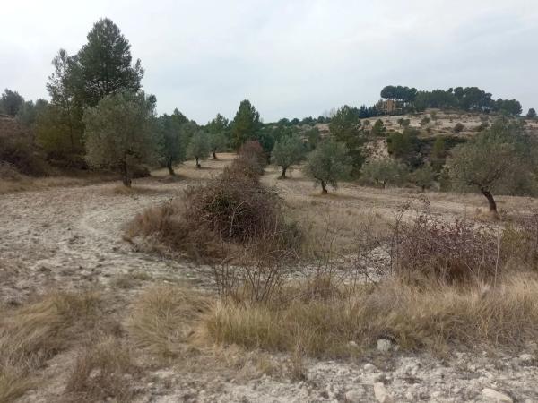 Terreno en Cv-785 s/n