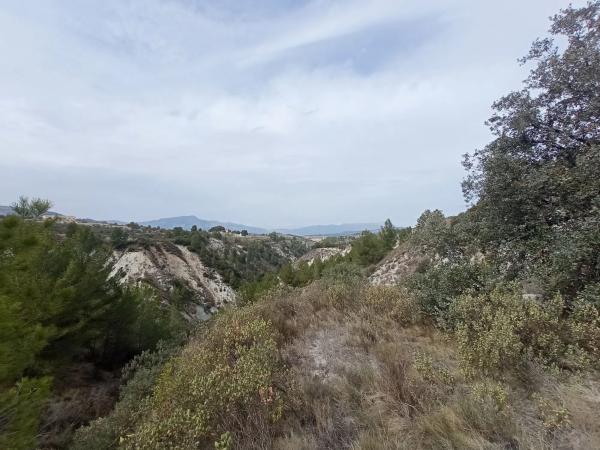 Terreno en Cv-785 s/n