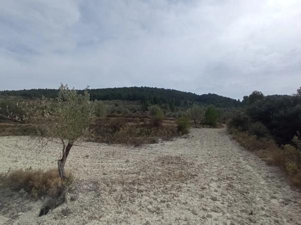 Terreno en Cv-785 s/n