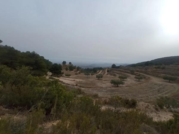 Terreno en Sierra de Don Benito s/n