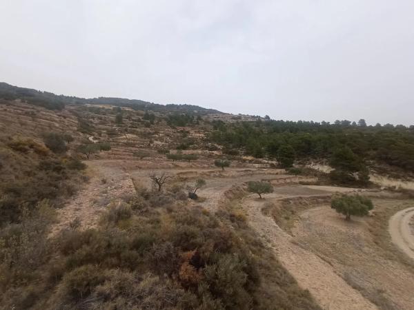 Terreno en Sierra de Don Benito s/n