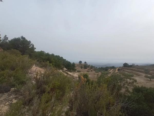 Terreno en Sierra de Don Benito s/n
