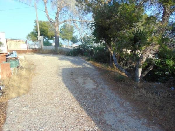 Terreno en calle Albaricoquero s/n