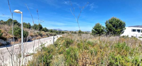 Terreno en Casco Urbano