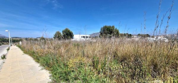 Terreno en Casco Urbano