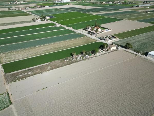 Terreno en San Fulgencio