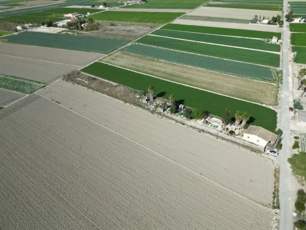 Terreno en San Fulgencio