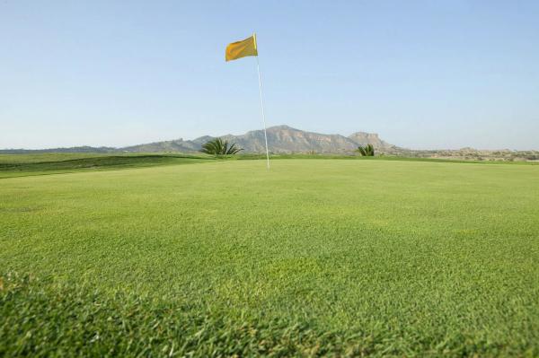 Terreno en calle Piramides, 42