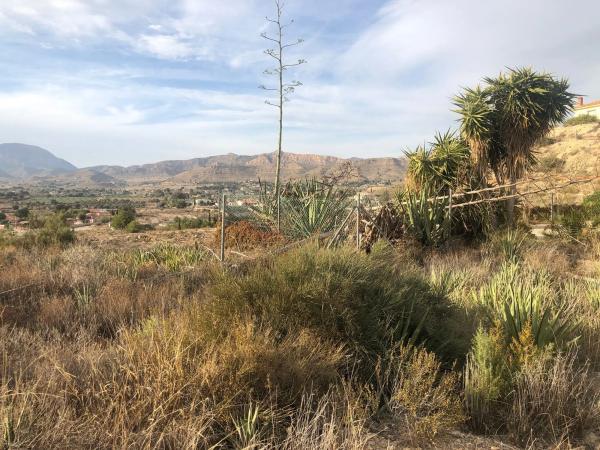 Terreno en calle el Pozo, 7